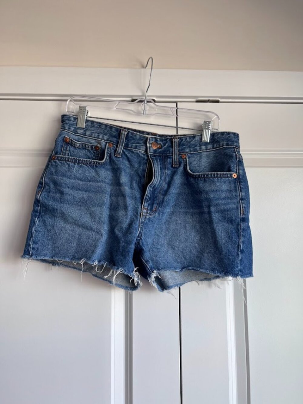 Madewell denim shorts (28)